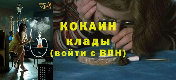 прущие грибы Наволоки