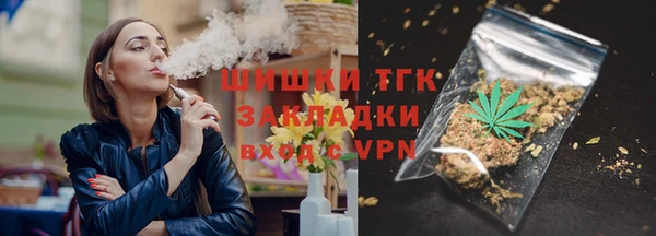 прущие грибы Наволоки