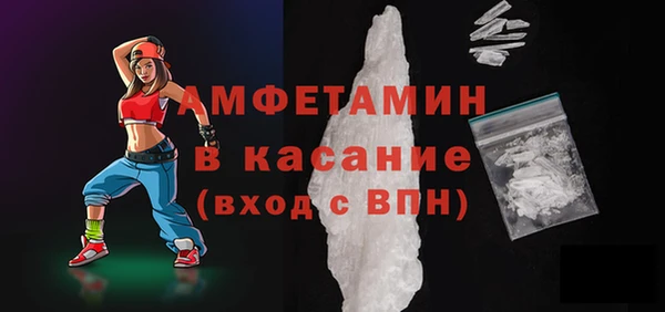 прущие грибы Наволоки