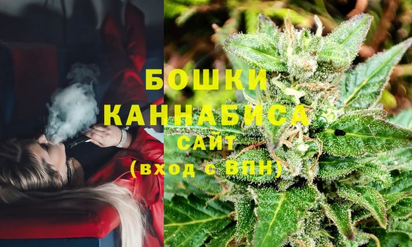 не бодяженный Надым