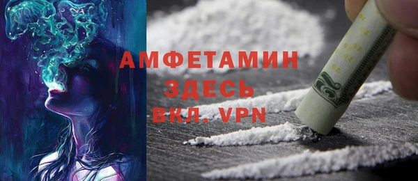 прущие грибы Наволоки
