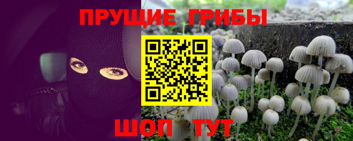 Тольятти  Псилоцибиновые грибы MAGIC MUSHROOMS  Вход с VPN 